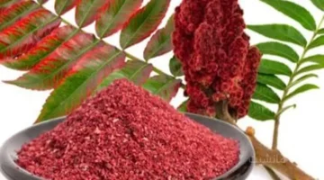 أكثر من مجرد نكهة.. العلم يثبت قدرة السماق على محاربة العدوى البكتيرية والفيروسية. 1